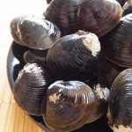 土用しじみの意味や由来は?土用餅や土用卵のいわれも紹介!