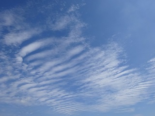 雲　種類　波状雲