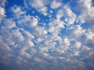 雲 種類 高積雲