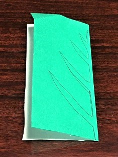 コスモス 葉っぱ 折り方