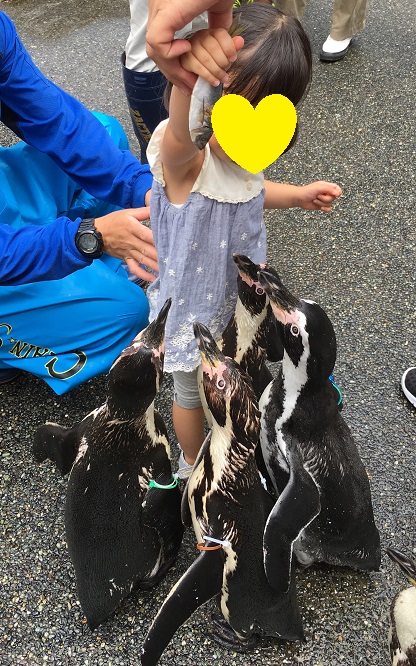 ペンギン水族館