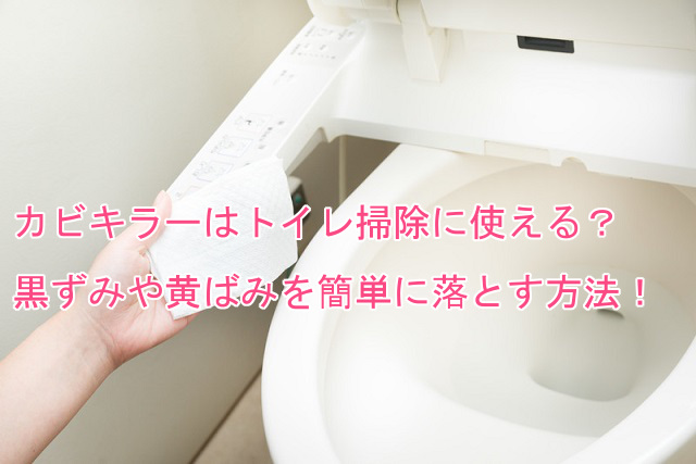 カビキラーでトイレの黒ずみはとれる 簡単な掃除方法を紹介